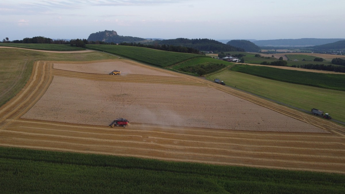 Luftaufnahme Ernte